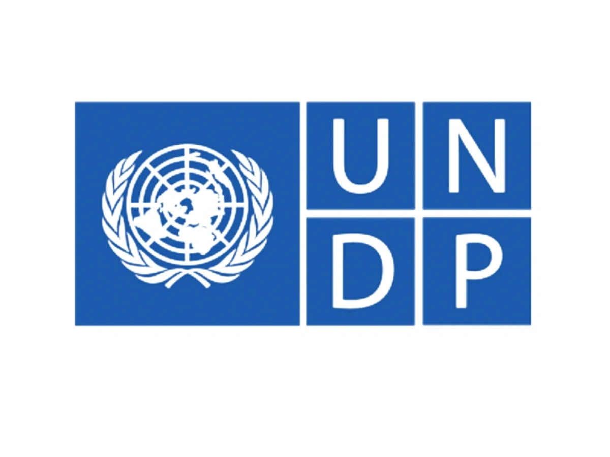 UNDP logo