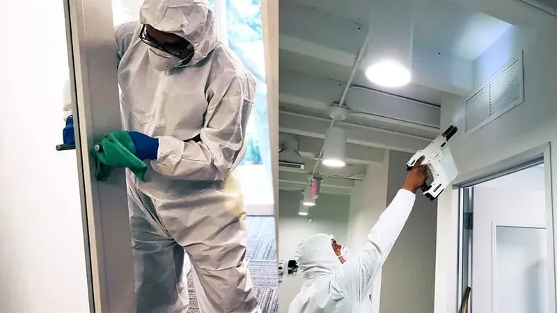 Specialist disinfection in action