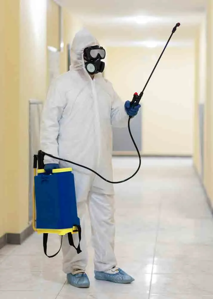 Fumigation in action