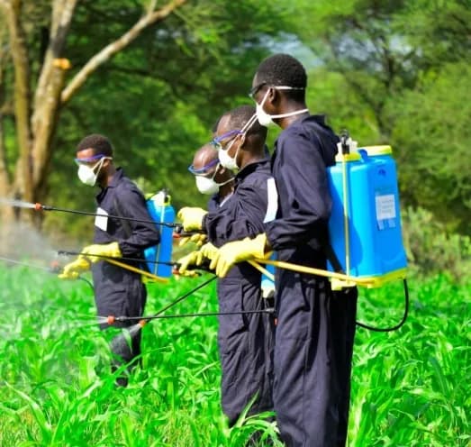 Integrated pest management in action